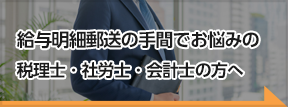 税理士・社労士・会計士の方向けのWeb給与明細の配信サービスのご紹介です。